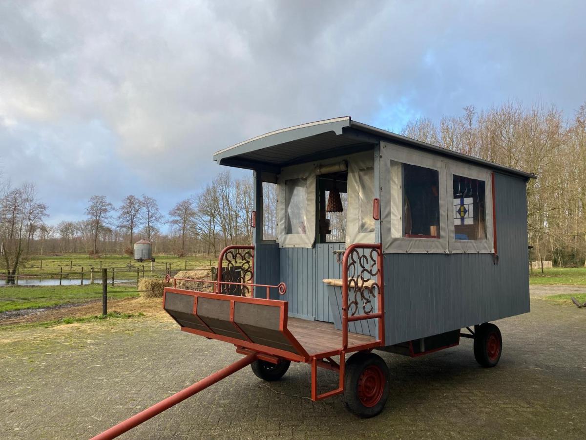 Camping De Bosrand Spier Zewnętrze zdjęcie