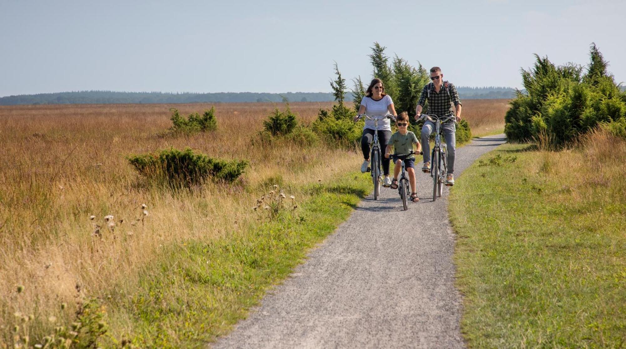 Camping De Bosrand Spier Zewnętrze zdjęcie