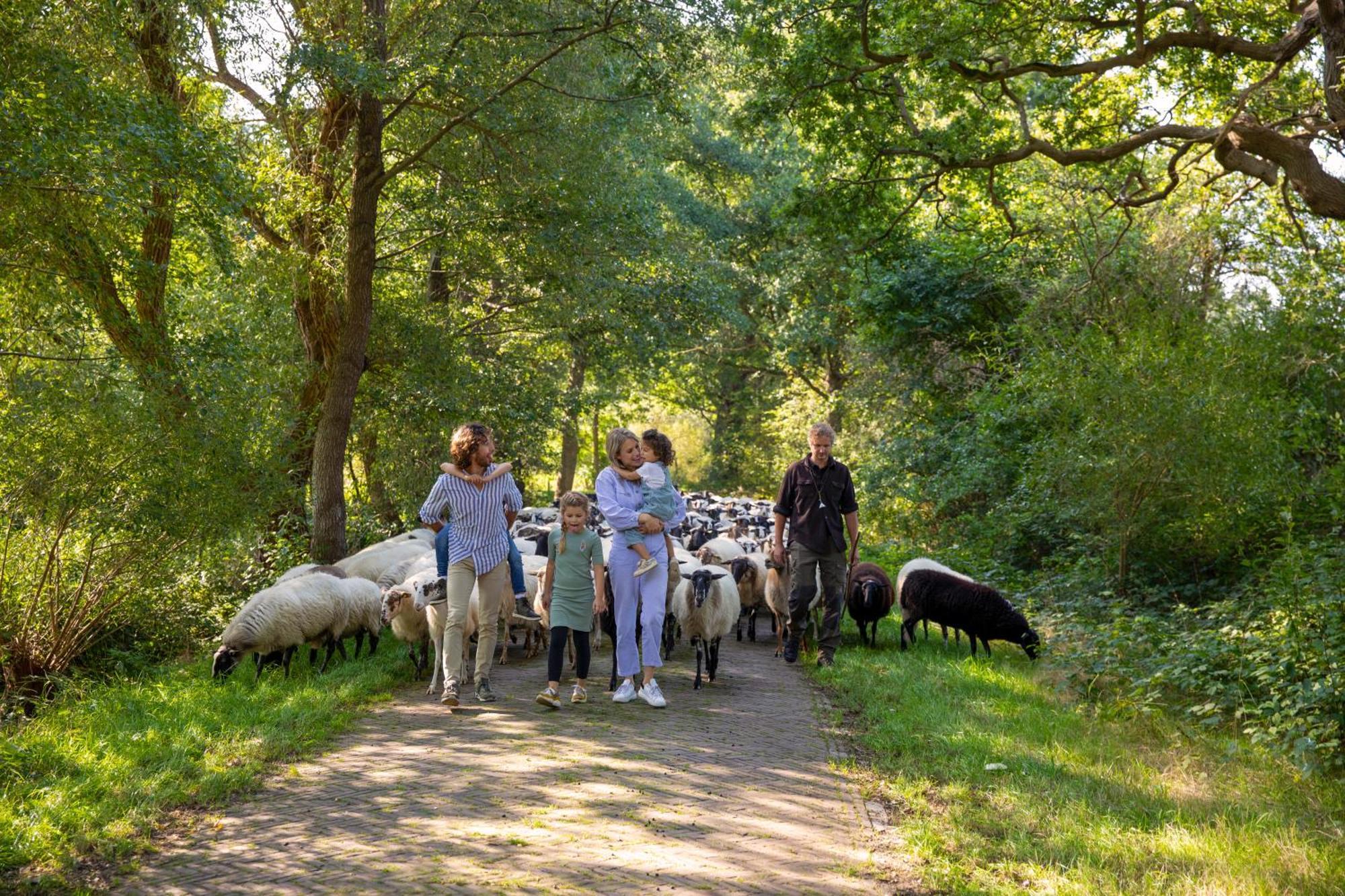 Camping De Bosrand Spier Zewnętrze zdjęcie
