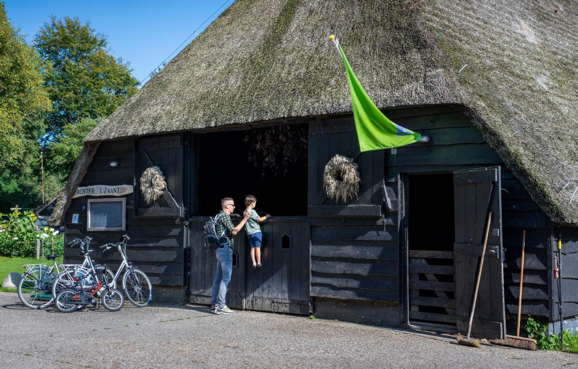 Camping De Bosrand Spier Zewnętrze zdjęcie